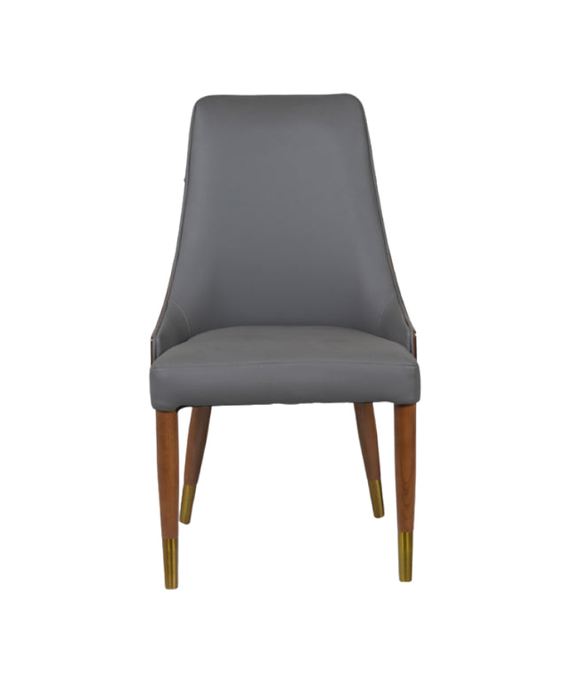 Arena Dining Chairs for Premium Dining