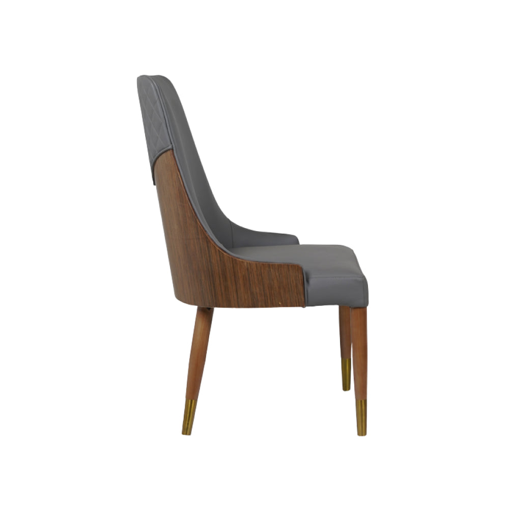 Arena Dining Chairs for Premium Dining