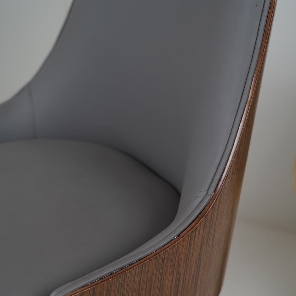 Arena Dining Chairs for Premium Dining