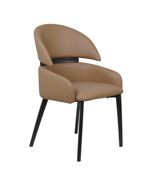 Frost Premium Dining Chair for Restaurants and Home Green Color