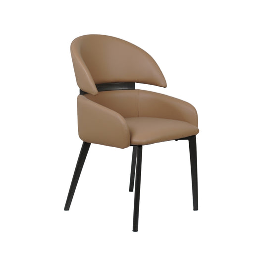 Frost Premium Dining Chair for Restaurants and Home Green Color