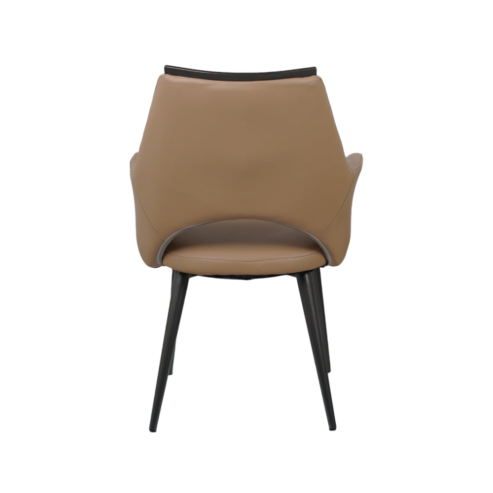 HOLO Premium Dining Chairs for Home or Restaurant Color
