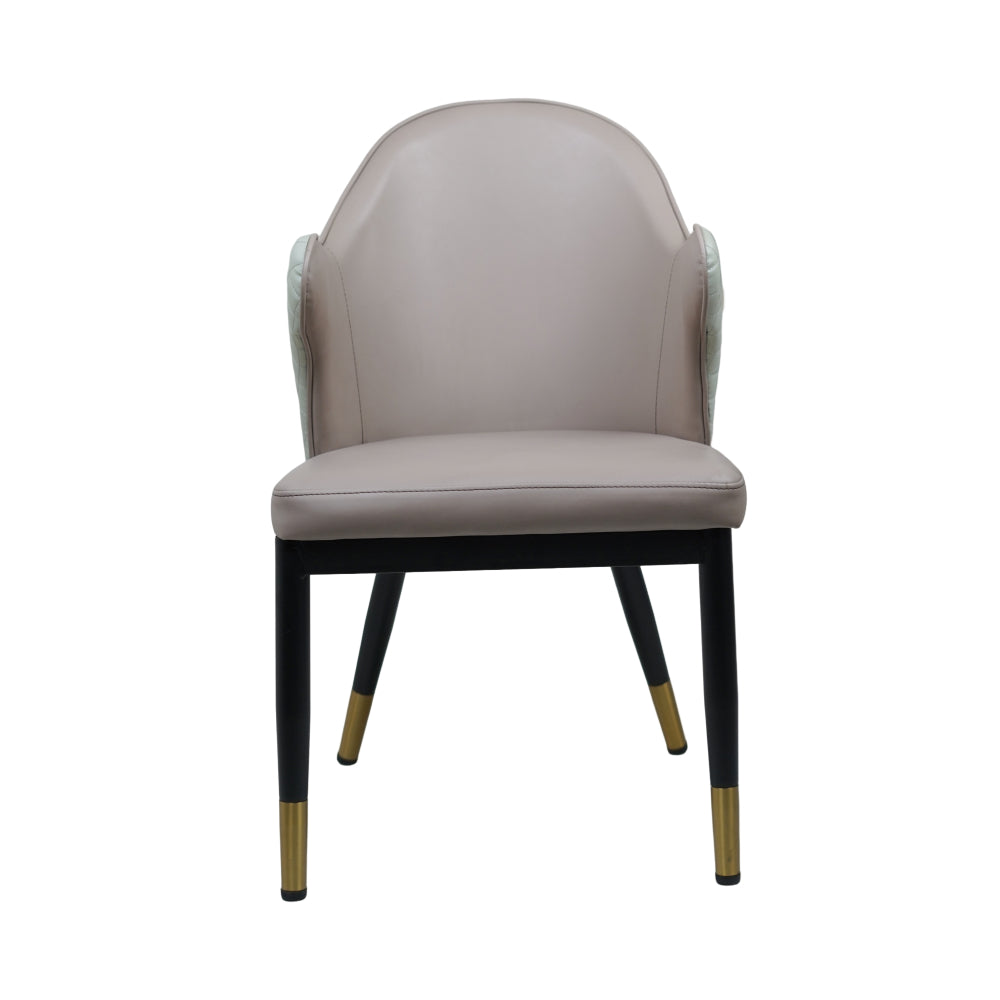 Savy Multi Colour Dining Chairs for Restaurant