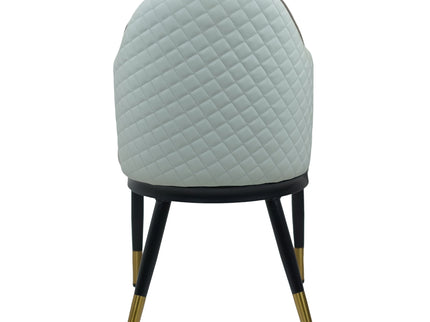 Savy Multi Colour Dining Chairs for Restaurant