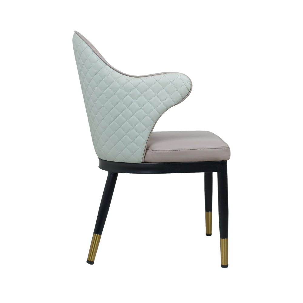 Savy Multi Colour Dining Chairs for Restaurant