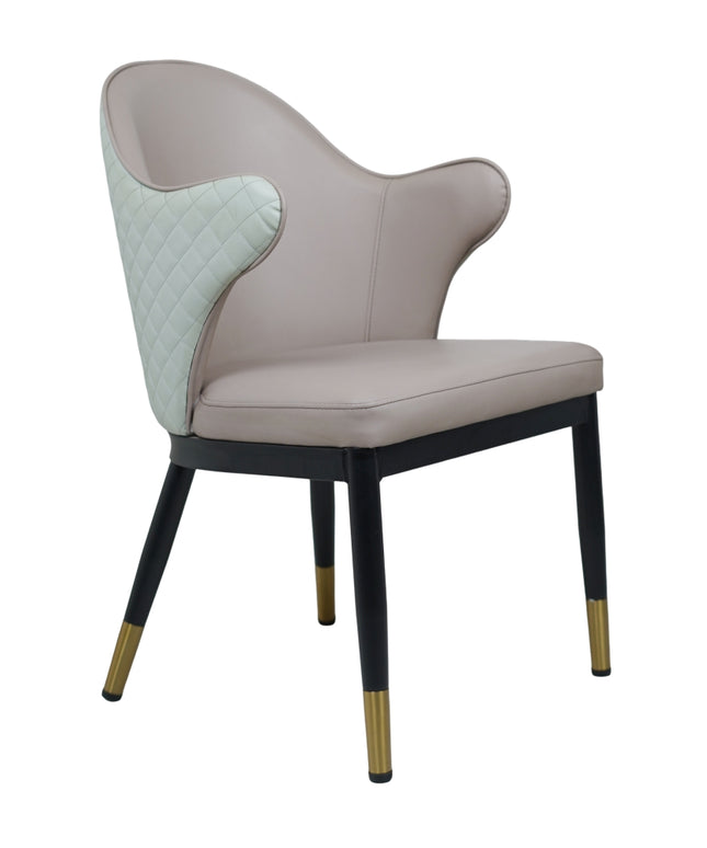 Savy Multi Colour Dining Chairs for Restaurant