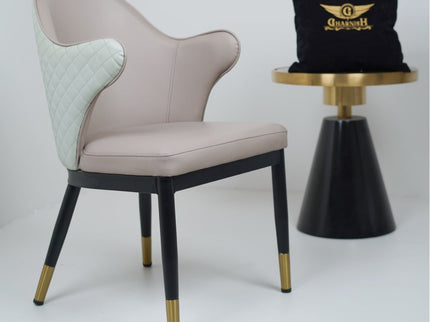 Savy Multi Colour Dining Chairs for Restaurant