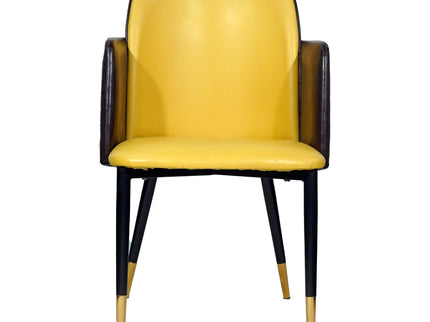 Suit Double Back Leather Dining Chair Imported