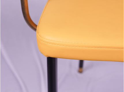 Nick restaurant dining chair
